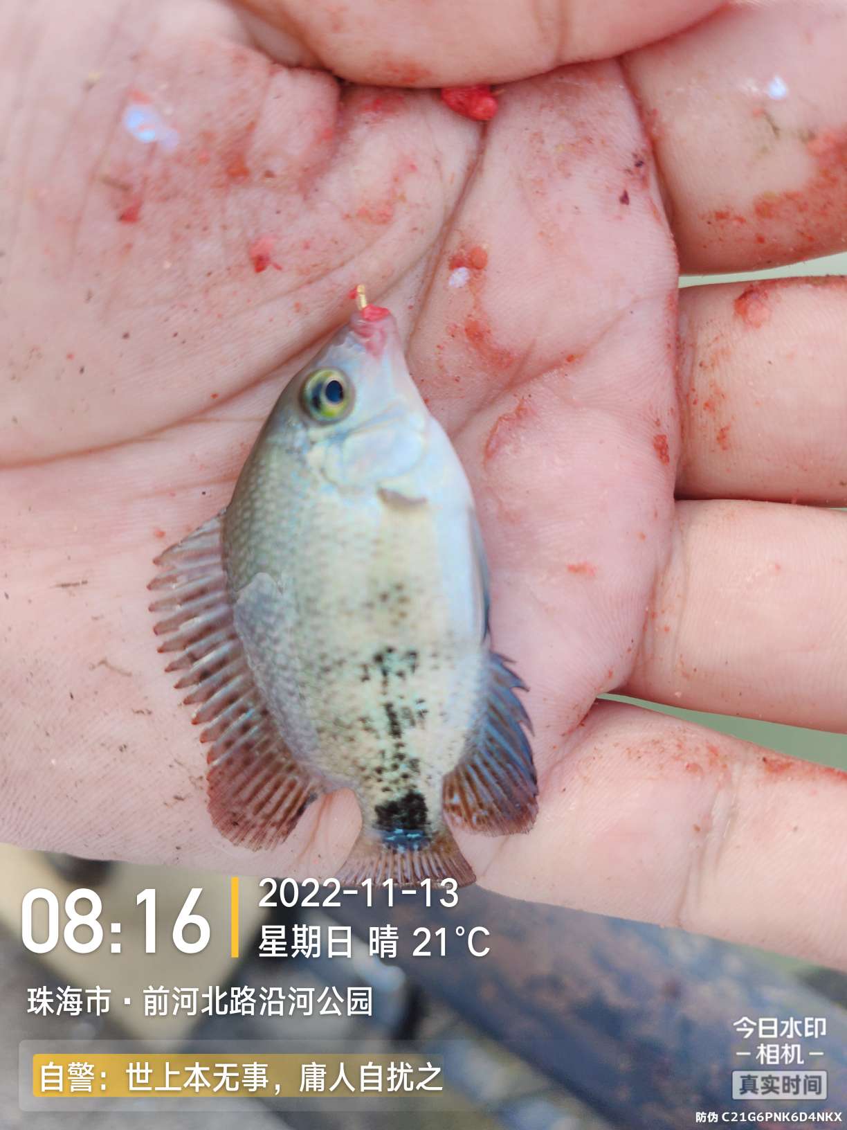 刷新了对钓鱼的认知,钓鱼的十个思维方法