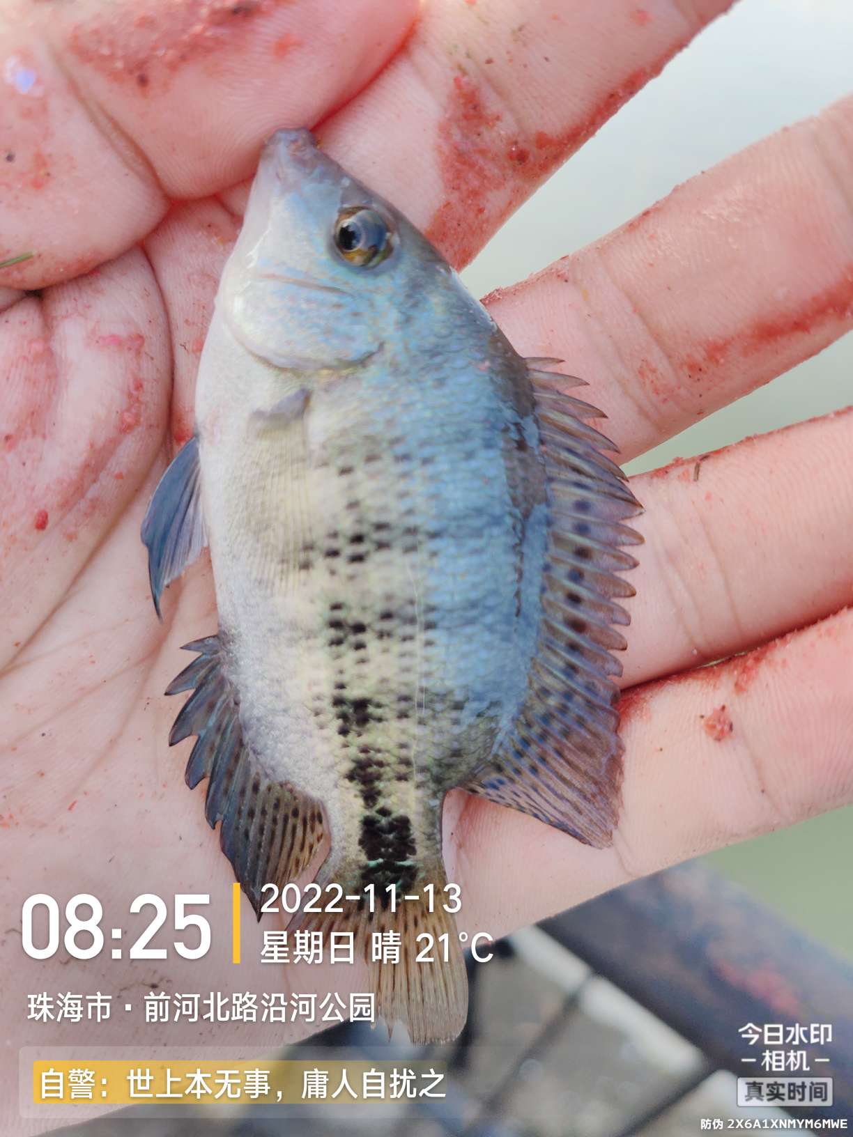 刷新了对钓鱼的认知,钓鱼的十个思维方法