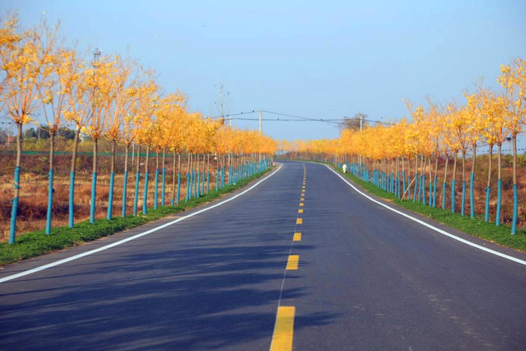 孝昌县季店乡规划图,孝昌季店乡新闻