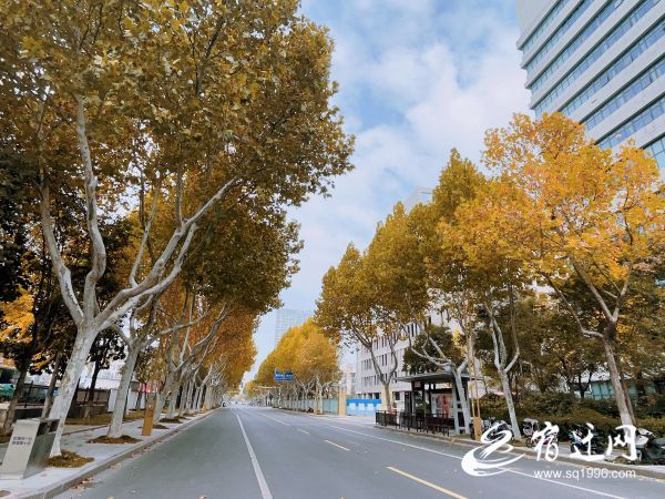 一眼心动光影写真,一眼心动的辽宁冬景