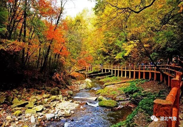 湖北襄阳天然氧吧,湖北哪些地方被评为天然氧吧