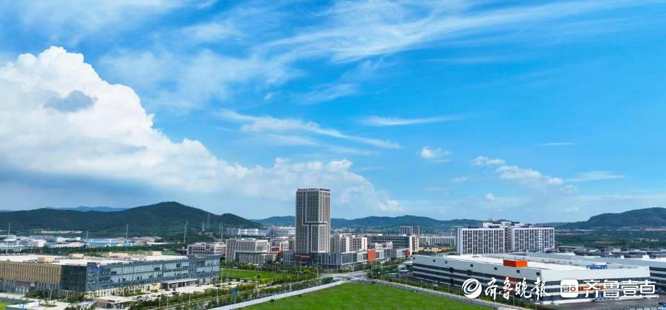 这就是山东完整版视频,这就是山东完整视频