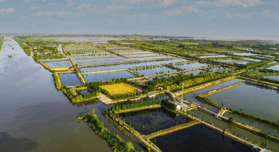 微山湖大闸蟹养殖方法视频,阳澄湖大闸蟹亩产量一般多少斤