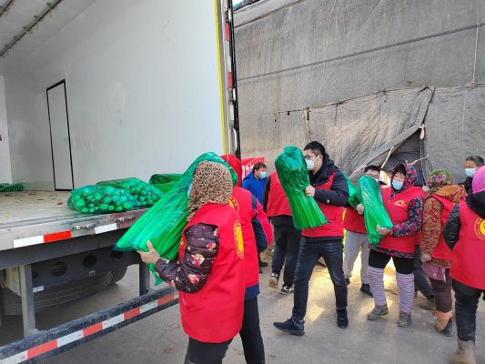 “商河菜”供应泉城餐桌，“秧歌红”志愿品牌精准服务抗疫