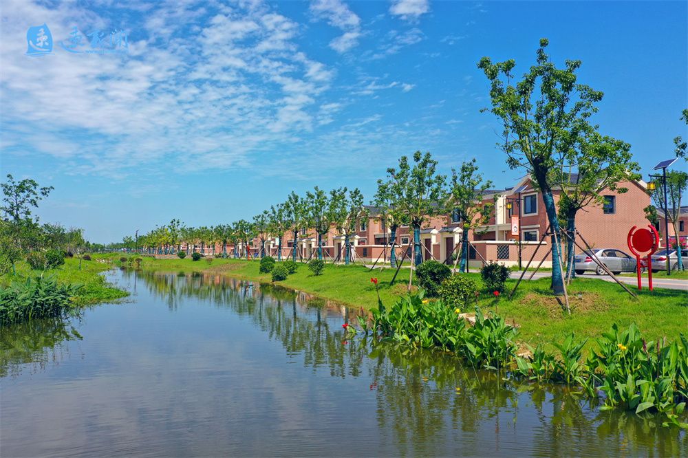 新时代新征程新成就,新时代新征程新伟业新出彩