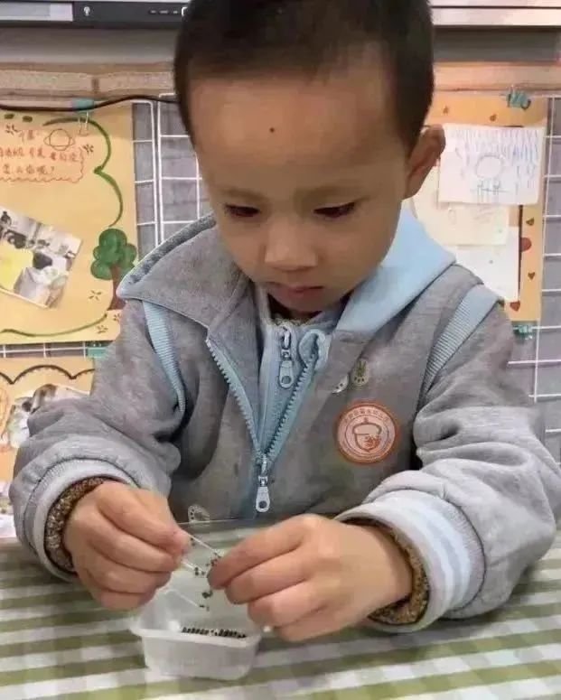 你好幼儿园主题活动方案,你好幼儿园活动