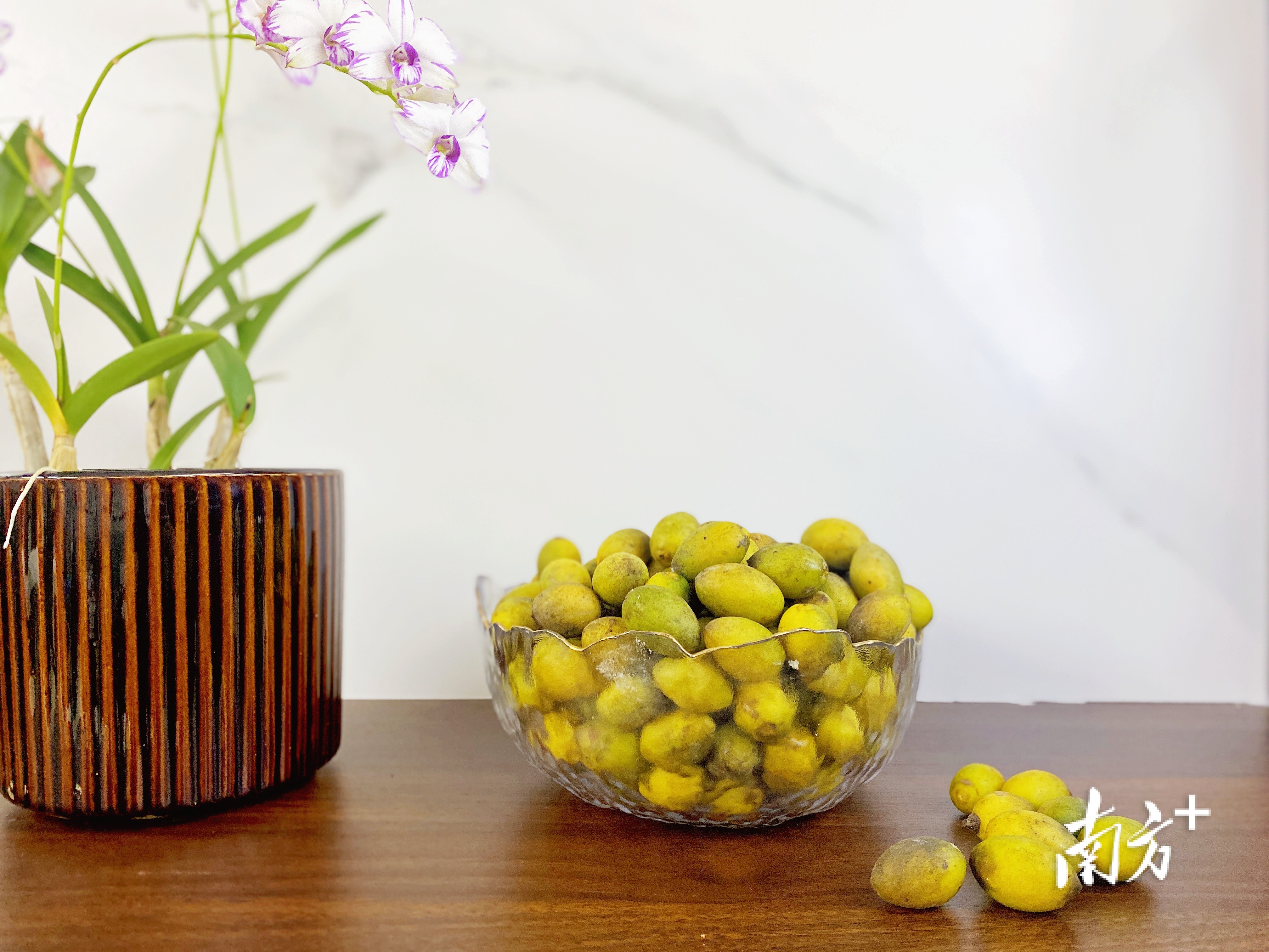 普通橄榄与三捻橄榄的区别,市面上好吃的橄榄有几个品种