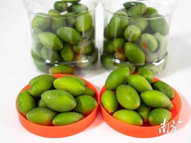 普通橄榄与三捻橄榄的区别,市面上好吃的橄榄有几个品种