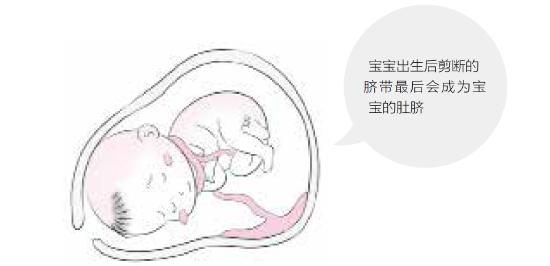 怀孕16周胎儿脐带绕颈一周怎么办,24周脐带绕颈一圈有什么要注意的