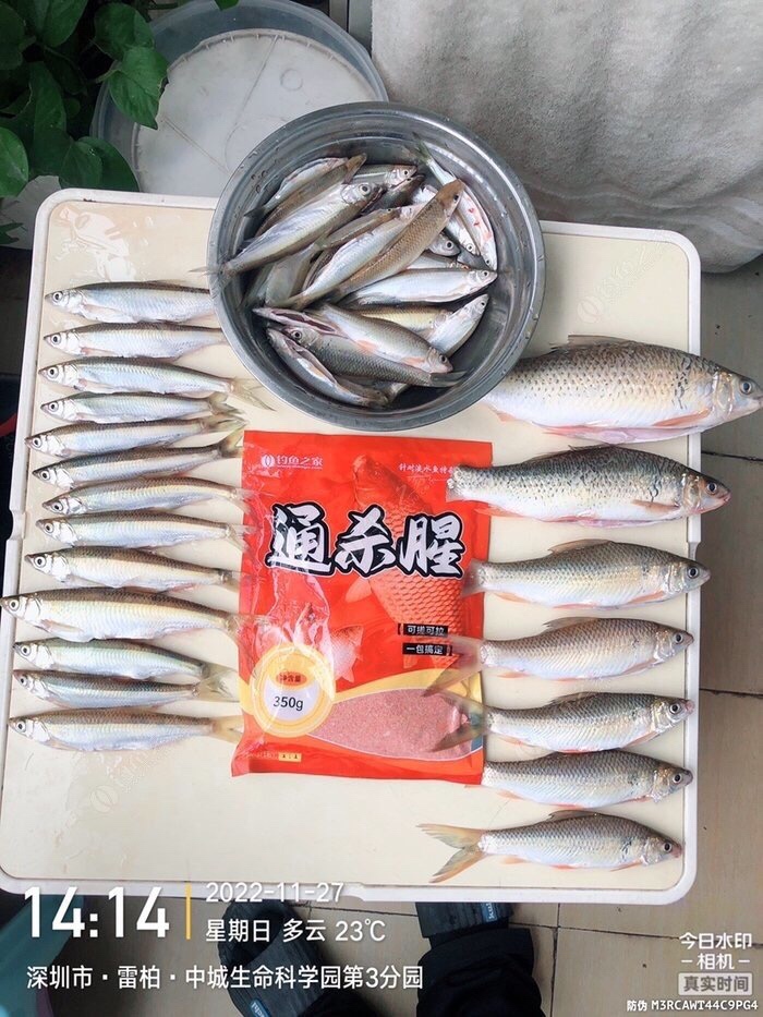 做个理性的人,初级钓鱼者怎么选择渔具