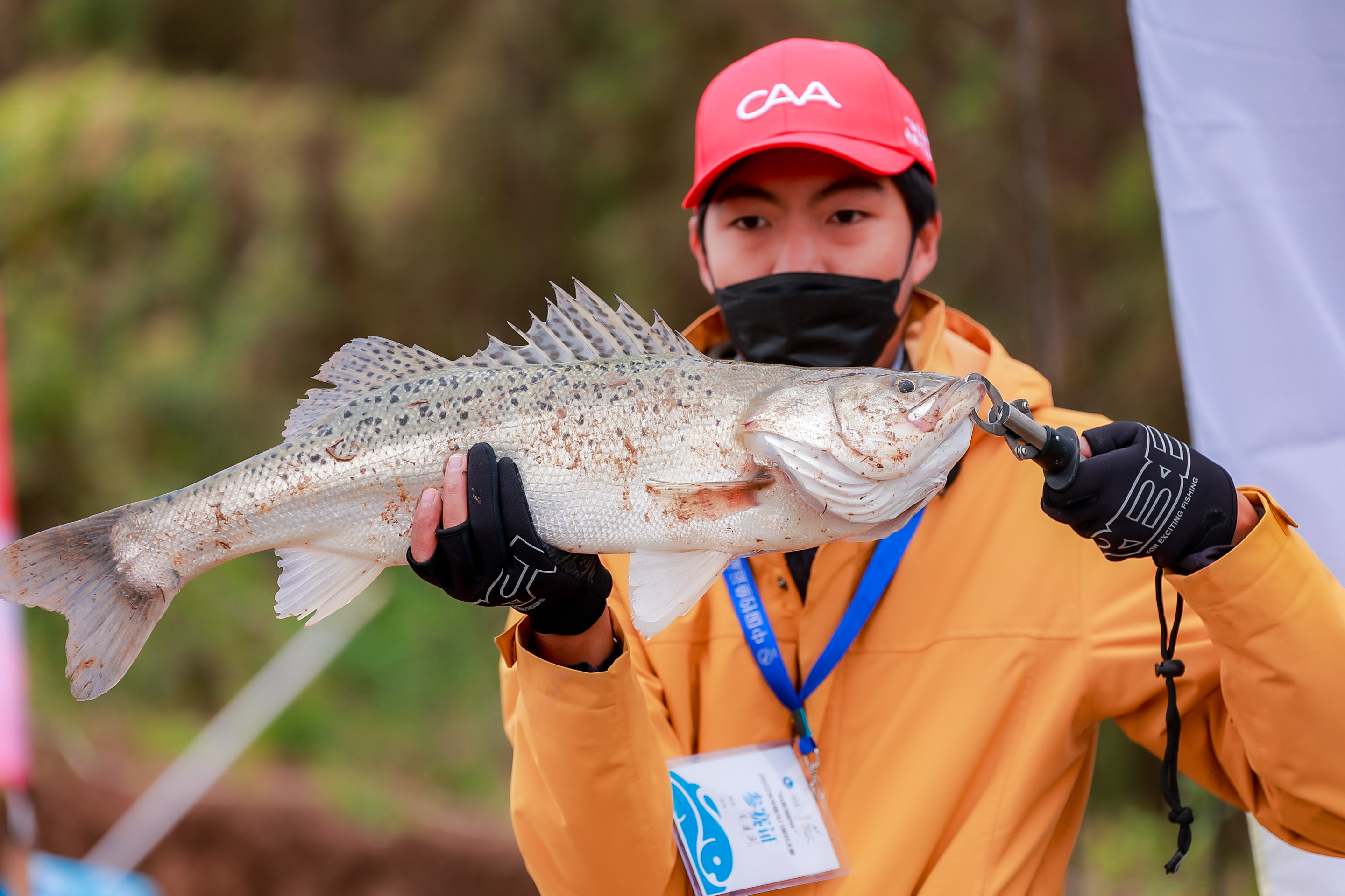 鏂楅棬鍗佸ぇ閲庨挀鍦ｅ湴,鏂楅棬娴疯竟閲庨挀鍦扮偣鎺ㄨ崘