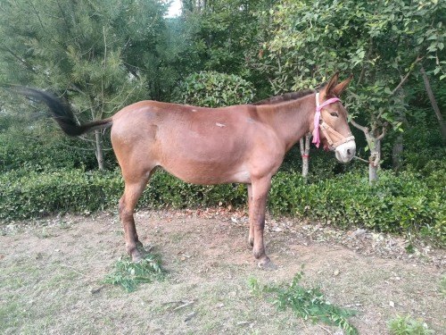 盘点|2022年，商洛小里都帮了哪些忙？