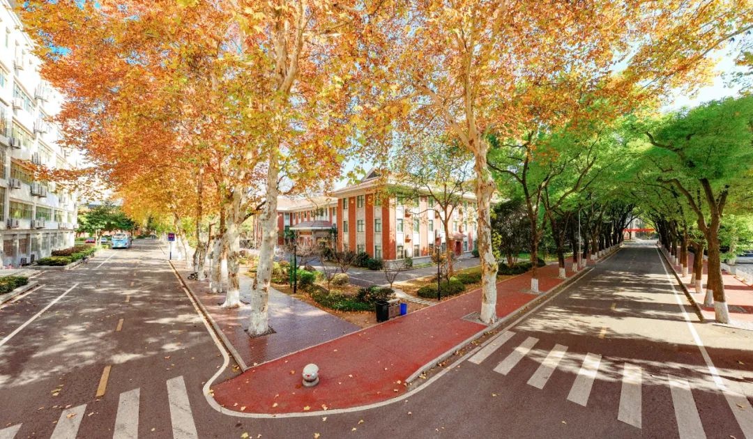 2024高校高水平运动队招生资格,2024湖北高校招生人数