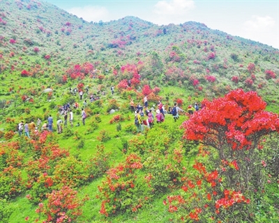 中国国际中医药论坛暨广东省第三届南药产业大会　旅游推动中医药文化传承