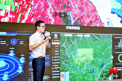 我的创业理想和梦想,我们的理想播种在希望的田野上