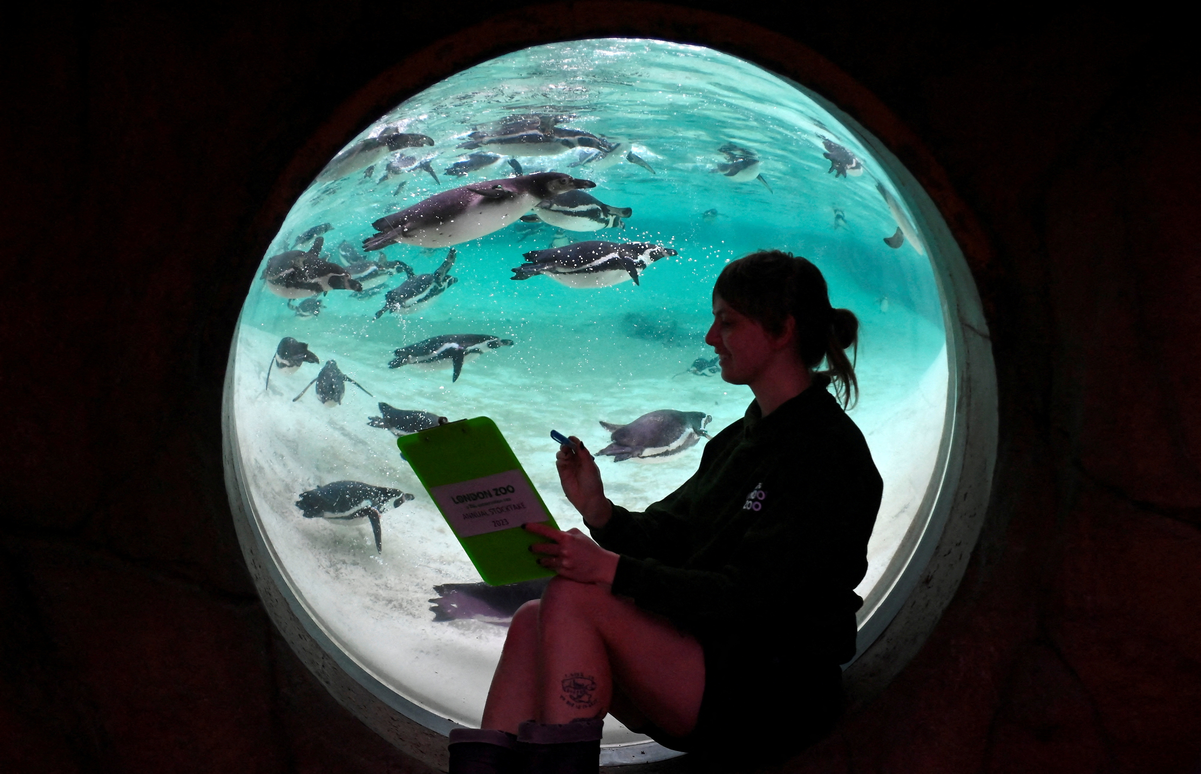 伦敦动物园动物大盘点,欧洲伦敦动物园