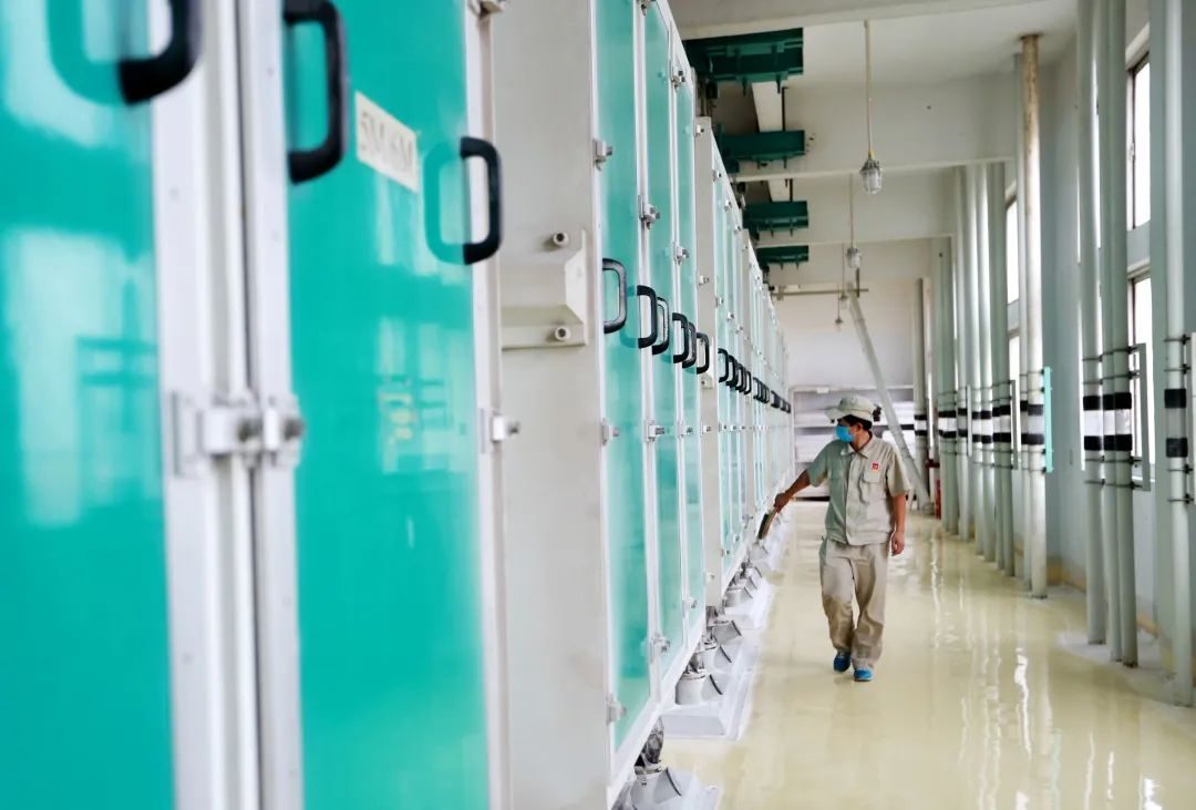 小麦粉国家标准和企业标准,小麦粉国标和企业标准