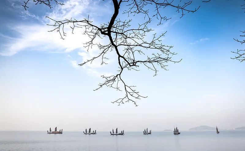 兔年每月有几个节气,兔年1月份日历