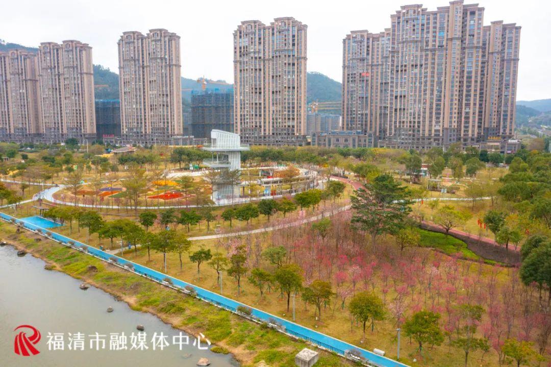 福清赏樱花,福清粉色樱花