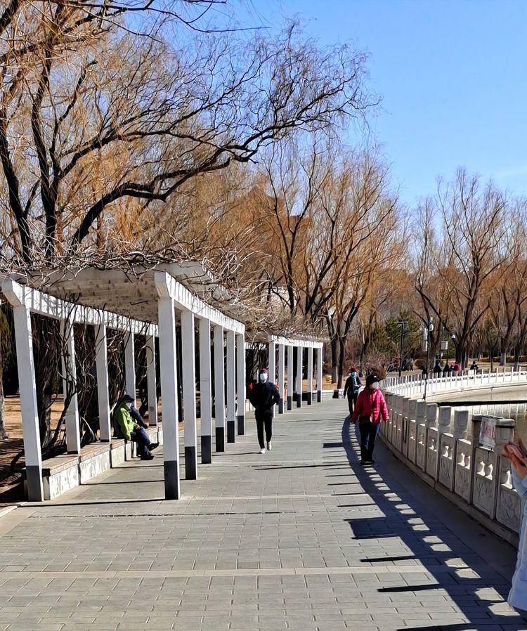 东北河流开冻,七九河会冻开吗