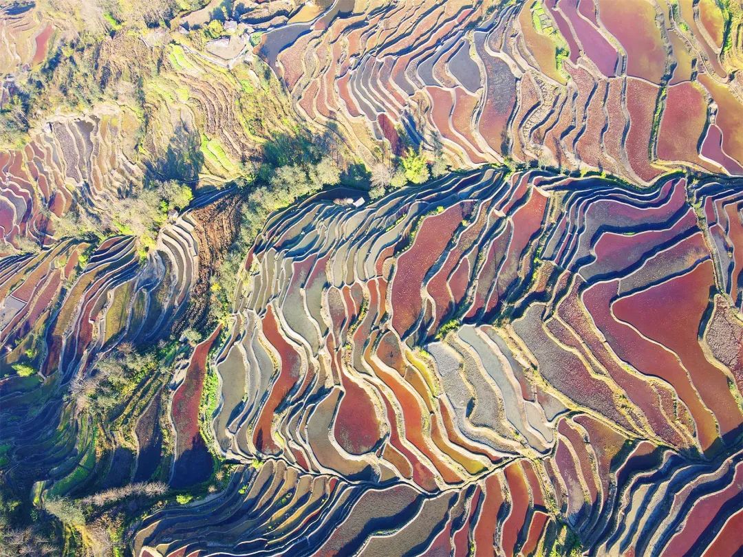 云南红河是四季如春吗,云南红河是怎么样的