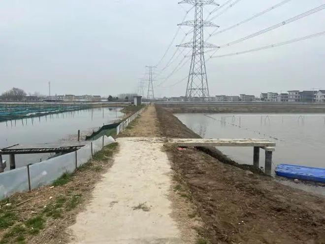 蟹苗怎么选成活率高,蟹苗养殖技术与方法