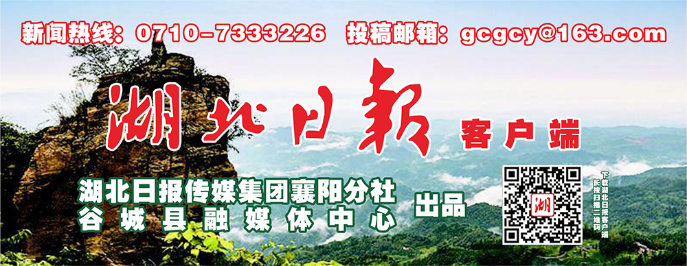 谷城县城镇建房政策,谷城县城南安置房