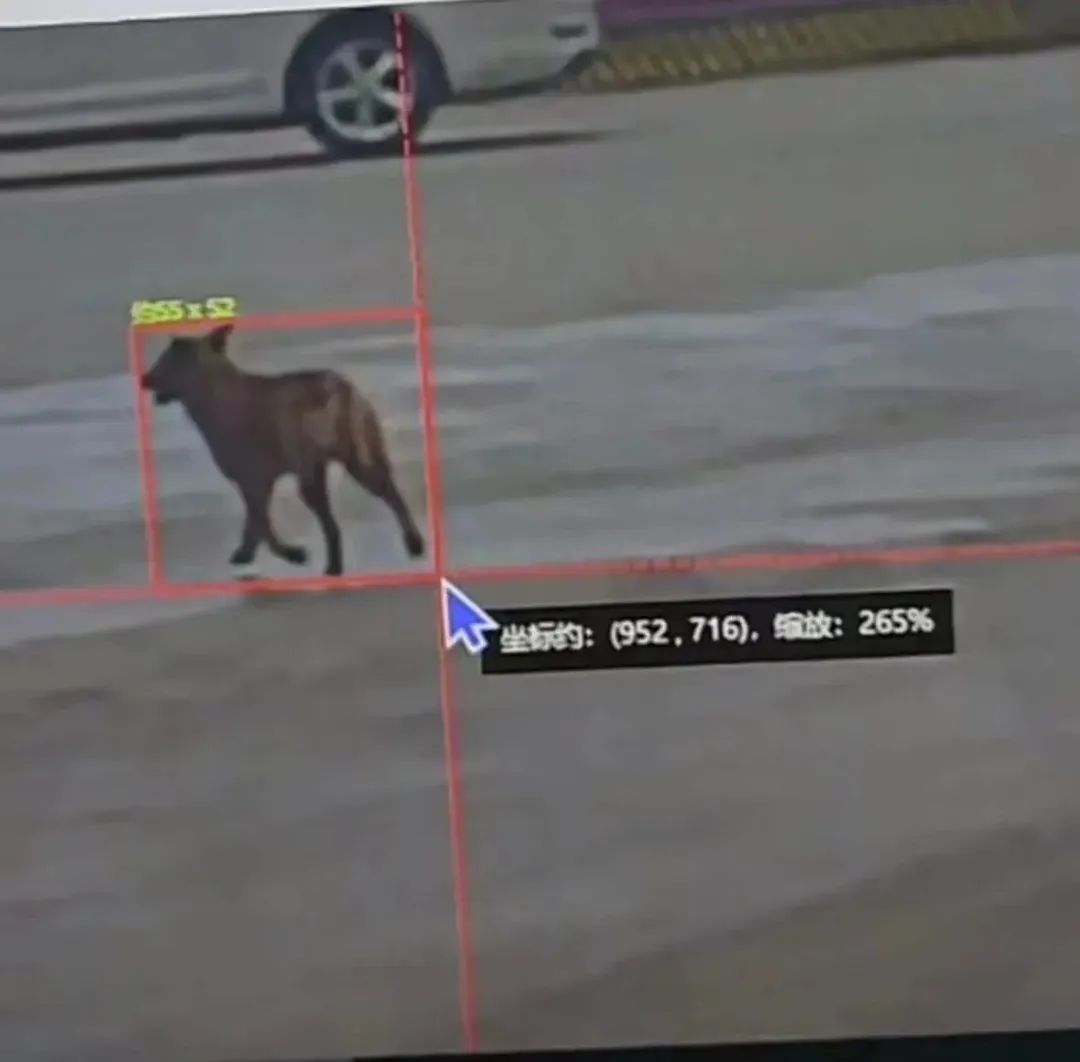 千亿ChatGPT的狂欢和月薪3K的数据标注员