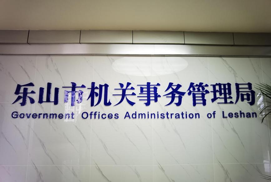 鍥芥湁璧勪骇楂樻晥闆嗙害鍒╃敤,鍥芥湁璧勪骇鐩樻椿鍒╃敤鐨勫鏈哄拰璺緞