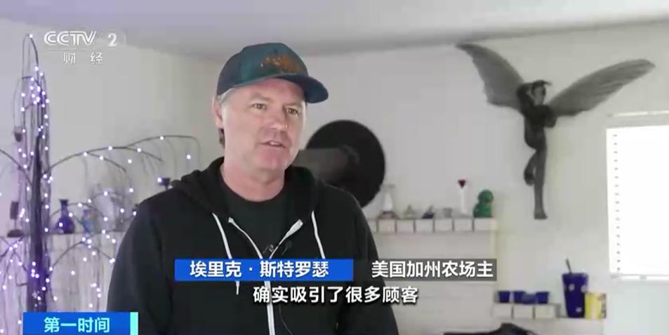 美国流行“租母鸡”!租赁套餐“月租”超千元！都包含啥？