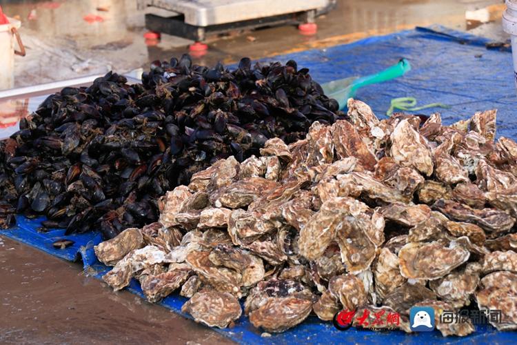 南姜码头现在有什么海鲜,实探海边最便宜的房子