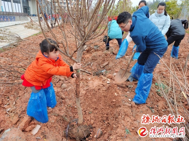 株洲城区义务植树地点公布,义务植树活动为美丽家园添绿