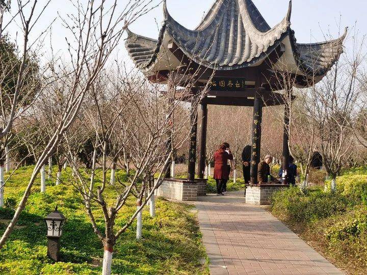 阳春三月春风暖，姹紫嫣红美家园