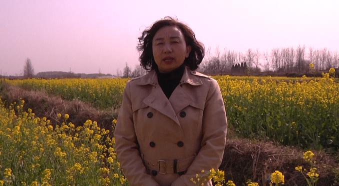 阳春三月春风暖，姹紫嫣红美家园