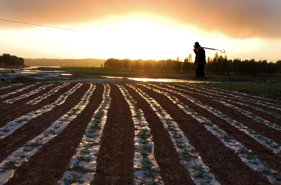石油是怎么影响我们的日常生活,与石油相关的科普知识