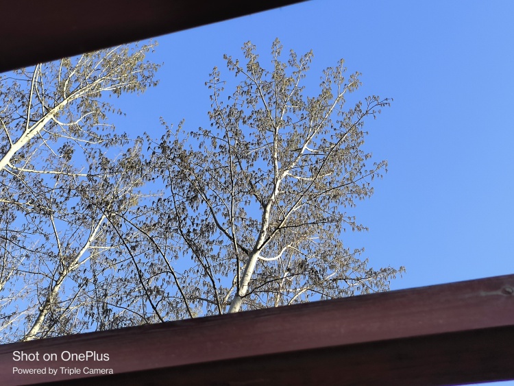 现在便宜的中端机 (国内中端机市场份额)