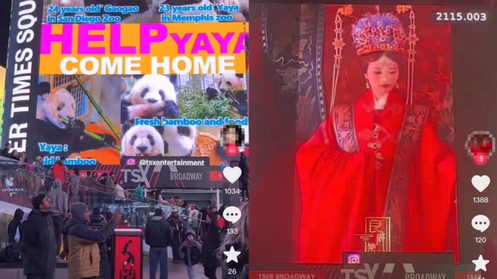 上美国时代广场大屏需要什么,上屏时代广场