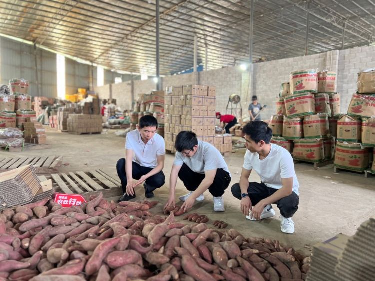 骞胯タ鐣柉鎵瑰彂鐩存壒,骞胯タ鐣柉鎵瑰彂搴楅摵