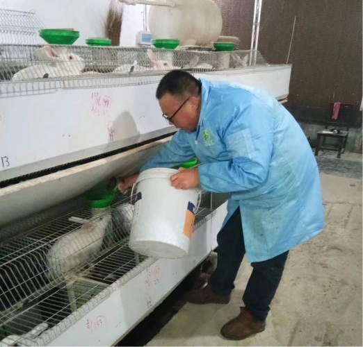 宝丰县经济高质量发展,宝丰县工业发展思路