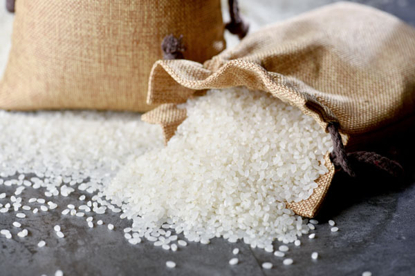 海棠米虫,四季米虫