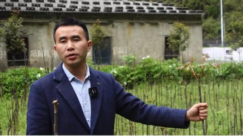 农村小伙回农村创业做农产品电商,小伙子返乡创业帮农民卖出农产品