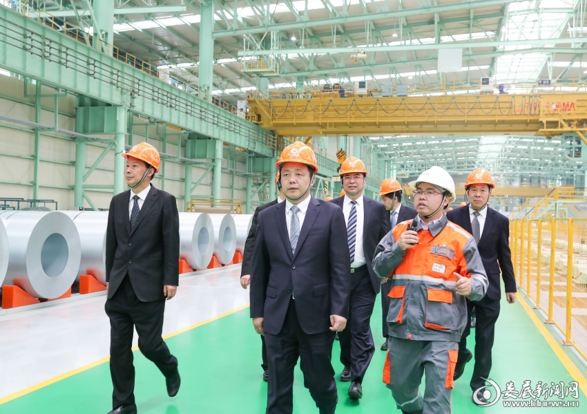 vama公司,vama有限公司