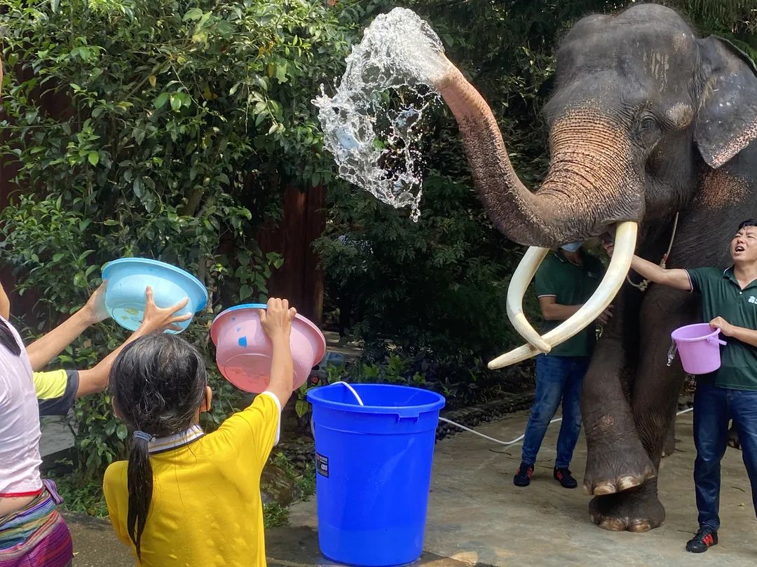 云南下个泼水节哪里举办,云南泼水节的阵型