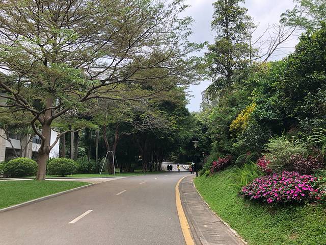 香港澳门旅游攻略5天4晚直播间,香港澳门六日游价格表四月份