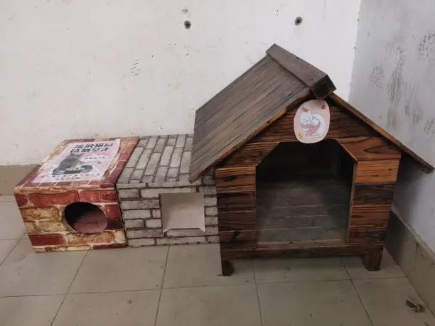 流浪猫自动喂粮器防蚂蚁,流浪猫自动喂猫粮