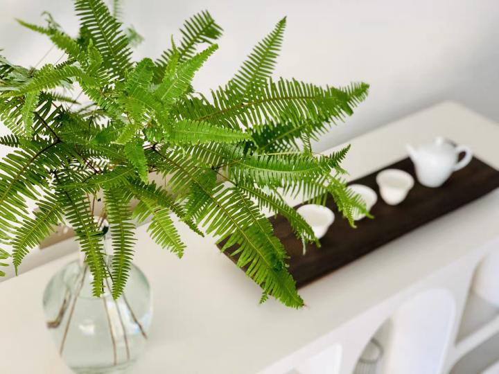 收柴火生意利润多少钱一个月,农村柴火比较多适合做什么生意