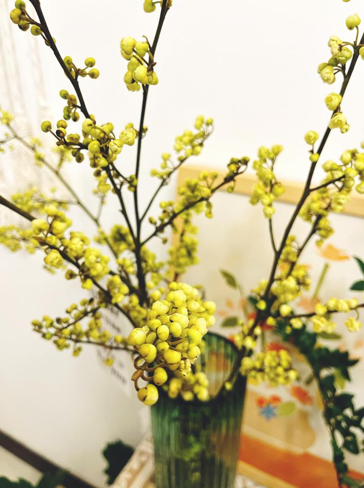 收柴火生意利润多少钱一个月,农村柴火比较多适合做什么生意