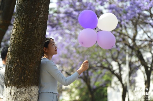 有一种云南的生活叫昆明,云南的昆明就是这么美