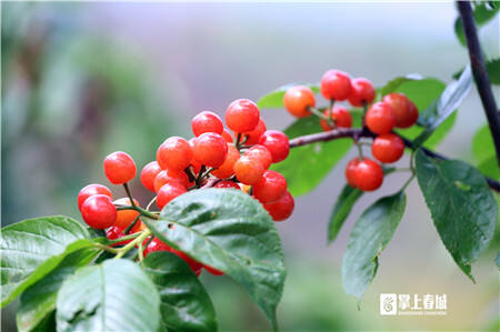 昆明五一哪里好玩的地方推荐一下,五一去哪玩便宜又实惠昆明周围