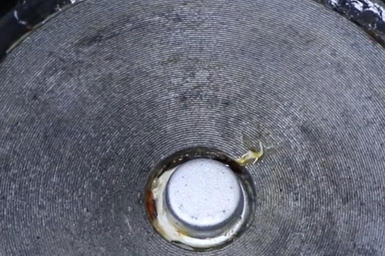 电饭锅只洗内胆，等于吃“细菌”，教你正确清洗，煮饭更省时省电